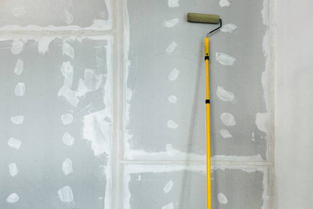 Best Drywall Sanding and Smoothing  in Phillipsburg, NJ